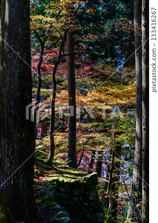 旅海山橫造寺院內的秋景 133416267