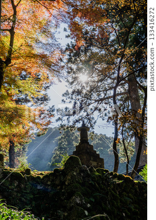 旅海山橫造寺院內的秋景 133416272