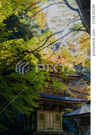旅海山橫造寺院內的秋景 133416286