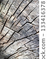 Old grey wood log texture 133416378
