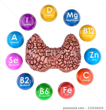Thyroid gland with vitamins and minerals essential for thyroid health, hormone balance and support, 3D rendering 133416435