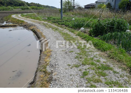 Farm road and rural scenery Shonai, Yamagata Prefecture Farm road and rural scenery Shonai, Yamagata Prefecture 133416486
