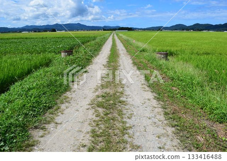 山形縣莊內市農道與田園風光 133416488