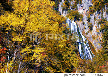 Hagoromo Falls 133416676