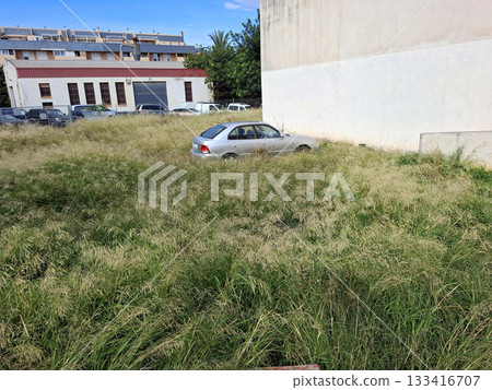 An old car sits forgotten in a vacant lot, fully overrun by tall, wild grass. The setting is bright, showing a clear sky and nearby buildings in the background. 133416707