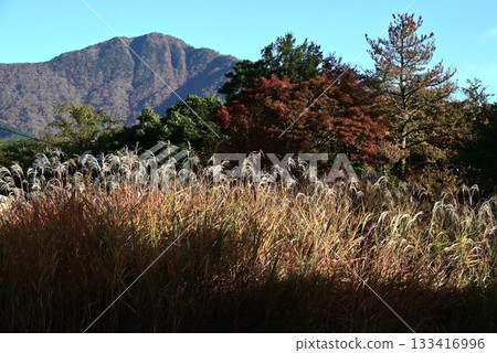Late autumn in Hakone, beautiful Japanese scenery, Japan tourism travel materials Late autumn in Hakone, beautiful Japanese scenery, Japan tourism travel materials 133416996
