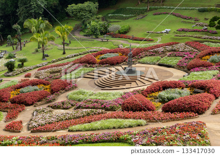 Beautiful landscape of Mae Fah Luang Garden with colorful winter flowers at Doi Tung, Chiang Rai, Thailand Beautiful landscape of Mae Fah Luang Garden with colorful winter flowers at Doi Tung, Chiang Rai, Thailand 133417030