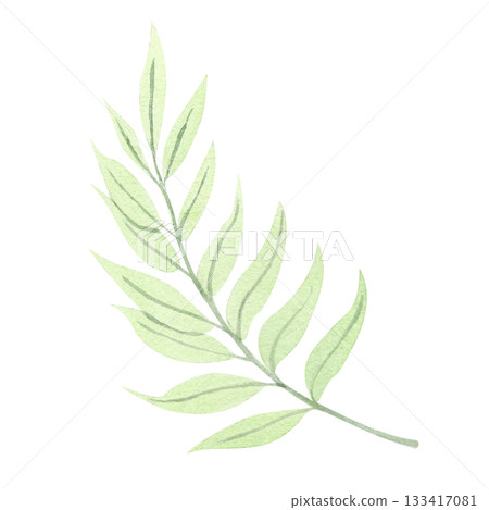 green twig This isolated image is done in a simple watercolor style. The drawing is done in a limited palette. This floral illustration is perfect for website design, personal social media, business  133417081