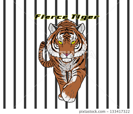 一隻老虎 133417322