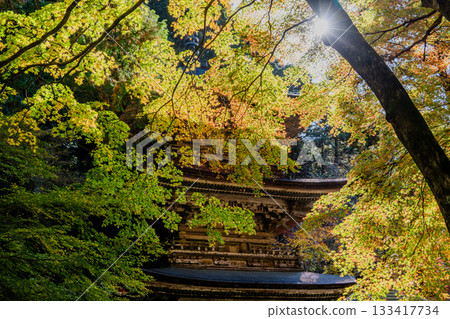 Autumn scenery of the Ryokaisan Yokozoji Temple grounds 133417734