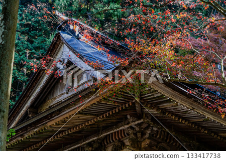 旅海山橫造寺院內的秋景 133417738