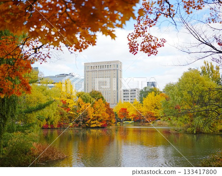 札幌中島公園的北海道秋葉美景 札幌中島公園的北海道秋葉美景 133417800