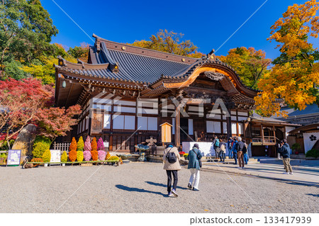 [Tokyo] Visitors to the main hall of Jindaiji Temple during the peak of autumn foliage 133417939