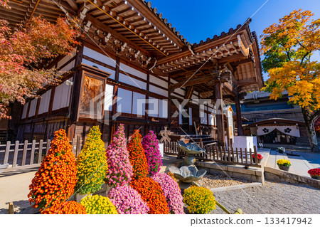 [Tokyo] Jindaiji Temple Main Hall at the peak of autumn foliage 133417942