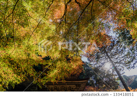 旅海山橫造寺院內的秋景 133418051