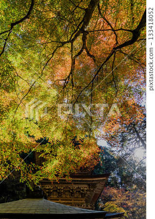 Autumn scenery of the Ryokaisan Yokozoji Temple grounds 133418052