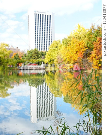 札幌中島公園的北海道秋葉美景 133418077