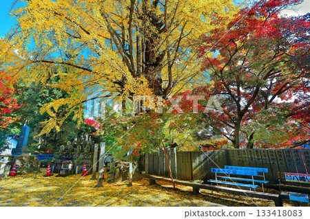 【香川縣】四國巡禮第88座寺廟－大久保寺，秋色迷人 133418083