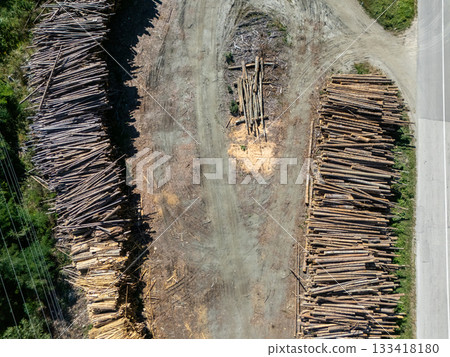 Stacked raw logs prepared for lumber production. Forestry, timber industry, and raw material processing for construction Stacked raw logs prepared for lumber production. Forestry, timber industry, and raw material processing for construction 133418180