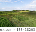 Aerial view of agricultural land. Valley of fruit farms. 133418203