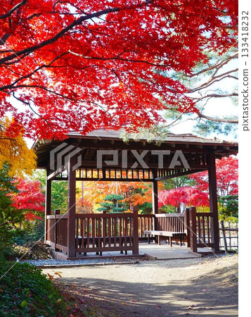 Autumnal scenery in Hokkaido Hiraoka Art Center Japanese style garden Autumnal scenery in Hokkaido Hiraoka Art Center Japanese style garden 133418232