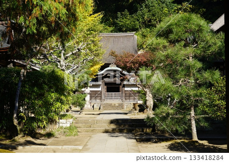 神奈川縣鎌倉市圓覺寺景色 133418284