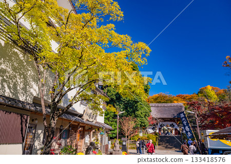 [Tokyo] Jindaiji Temple Approach Bustling with Worshippers in Autumn 133418576