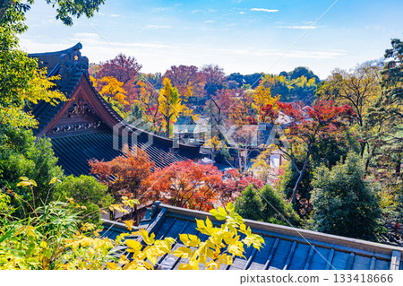 【東京】秋色正濃時,俯瞰深大寺正殿及寺院 【東京】秋色正濃時,俯瞰深大寺正殿及寺院 133418666