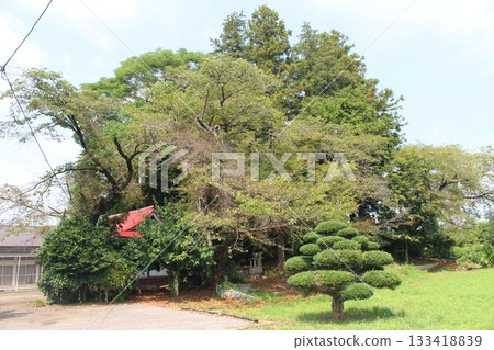 下上愛宕塚古墓 下上愛宕塚古墓 133418839
