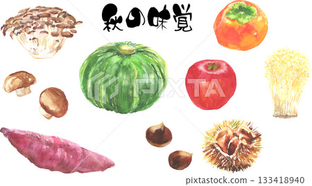 水彩秋季風味矢量圖集 水彩秋季風味矢量圖集 133418940