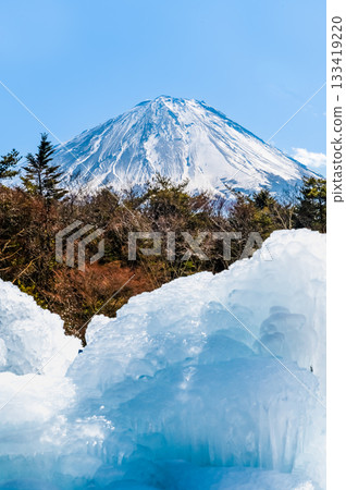 Yamanashi Lake Saiko Ice Festival Yamanashi Lake Saiko Ice Festival 133419220