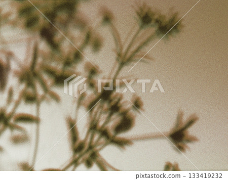 Abstract botanical art. Soft focus image of delicate floral stems and blossoms against a neutral beige or light brown backdrop Sepia toned 133419232