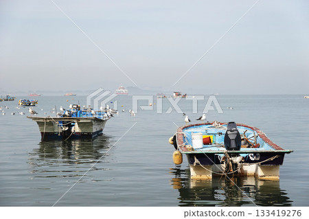 Seagulls Resting on Small Fishing Boats Floating Calmly on Quiet Coastal Waters at Peaceful Harbor Seagulls Resting on Small Fishing Boats Floating Calmly on Quiet Coastal Waters at Peaceful Harbor 133419276
