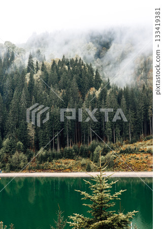 A breathtaking scene of a misty forest, serene lake and vibrant green trees in nature. A pond reflects a lush green forest with pines in a mist. A breathtaking scene of a misty forest, serene lake and vibrant green trees in nature. A pond reflects a lush green forest with pines in a mist. 133419381