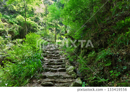 Shofukuji approach 133419556