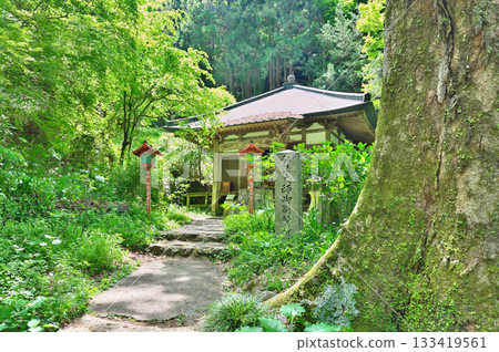 Shofukuji approach 133419561