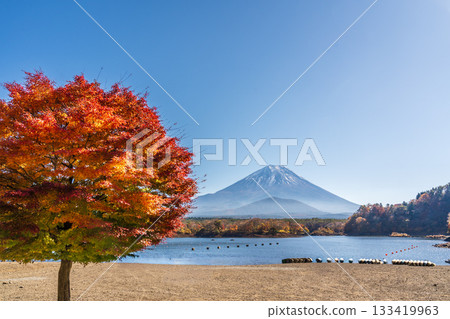 Autumn leaves and Mount Fuji towering over Lake Shoji 133419963