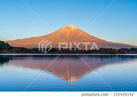 Mount Fuji reflected in Lake Tanuki in autumn, illuminated by the setting sun and dyed red 133420142