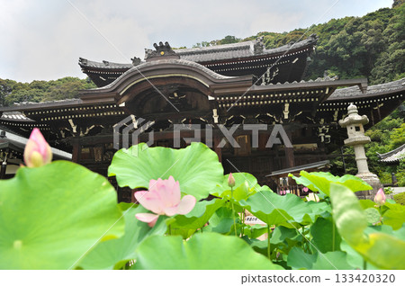 三室寺和蓮花 133420320
