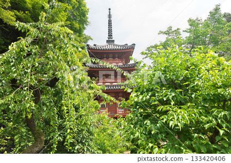 Mimuroto寺 Mimuroto寺 133420406