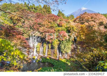 富士宮市的白絲瀑布，被落葉裝飾得格外美麗。 133420417