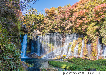 富士宮市的白絲瀑布,被落葉裝飾得格外美麗。 富士宮市的白絲瀑布,被落葉裝飾得格外美麗。 133420419