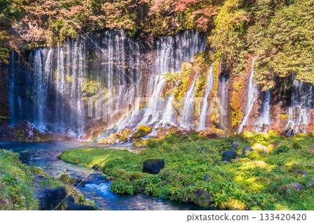 富士宮市的白絲瀑布，被落葉裝飾得格外美麗。 133420420