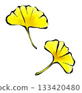 Ginkgo leaves drawn with a brush pen and transparent watercolor 133420480