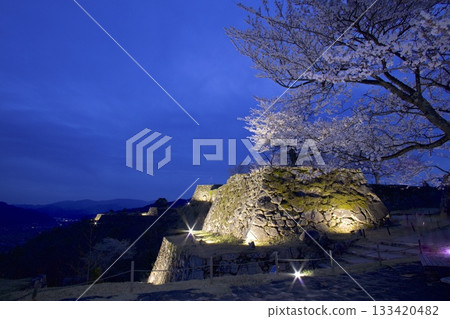 Cherry blossoms at night at Takeda Castle ruins 133420482