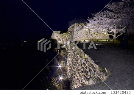 武田城遺址的夜櫻 133420483