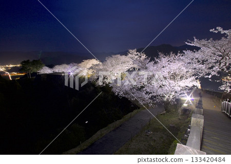 Cherry blossoms at night at Takeda Castle ruins 133420484