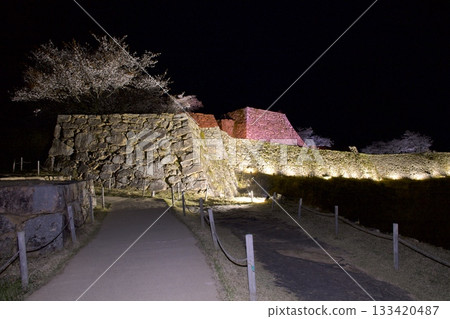 Cherry blossoms at night at Takeda Castle ruins Cherry blossoms at night at Takeda Castle ruins 133420487