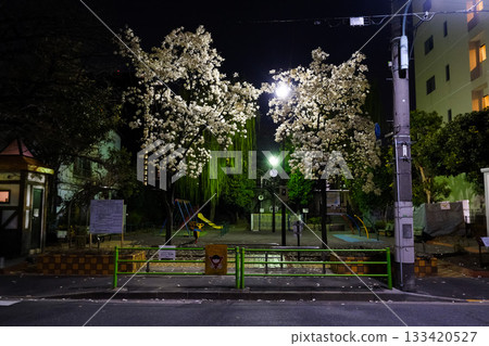 Tsukishima 3-chome redevelopment site night view (March 2022) Tsukishima 3-chome redevelopment site night view (March 2022) 133420527