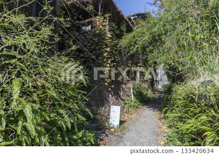 Tokoname Cafe Nuu 133420634